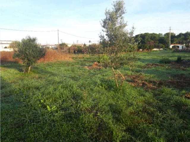 Grond te koop in Vinaròs - € 44.000 (Ref: 8359492)