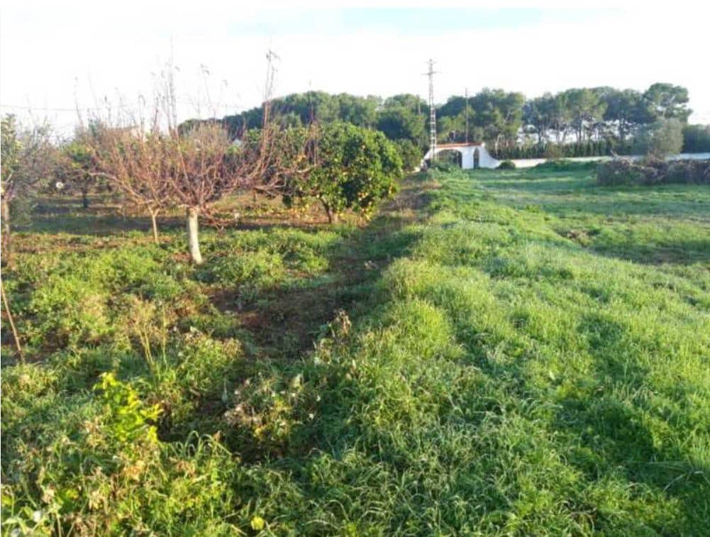 Mark till salu i Vinaros - 44 000 € (Ref: 8359492)