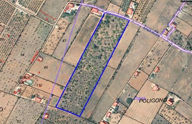 Undeveloped Land for sale in Alcossebre, Alcalá de Xivert - € 112,000 (Ref: 8394782)