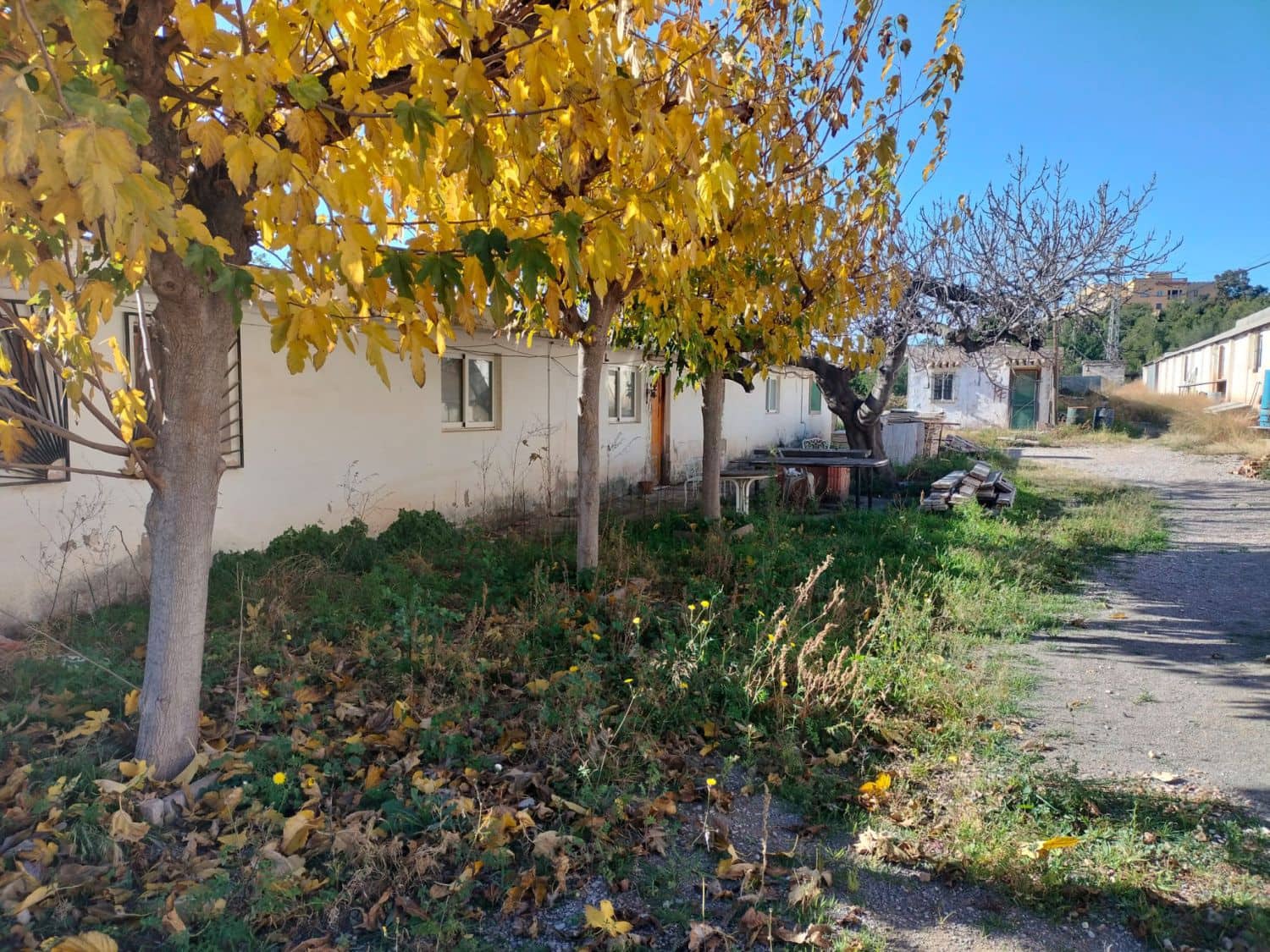 Firma/Unternehmen zu verkaufen in Castello de la Plana - 156.500 € (Ref: 8763566)