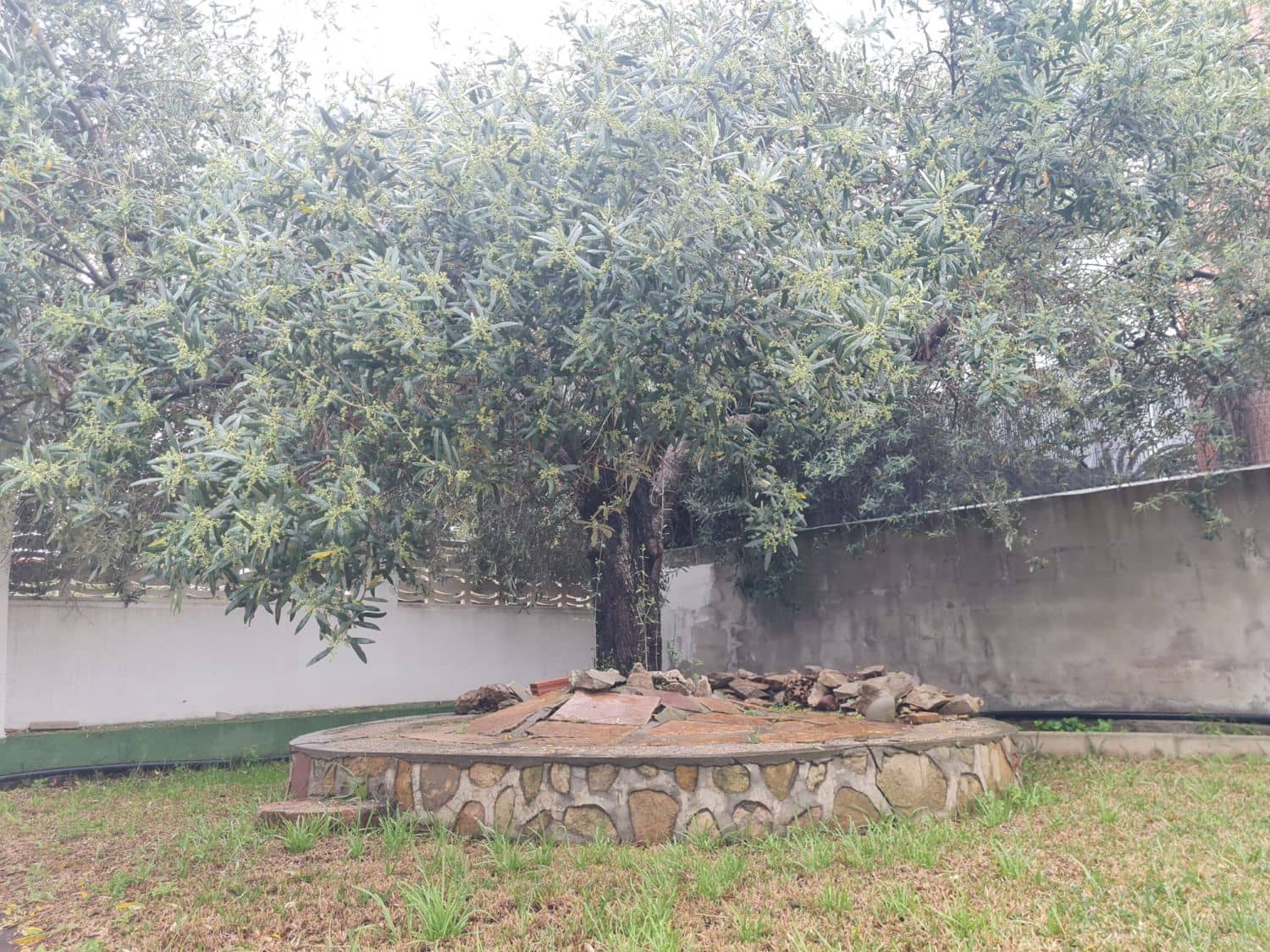 4 camera da letto Villetta Bifamiliare in vendita in Benicassim con garage - 549.000 € (Rif: 8949419)