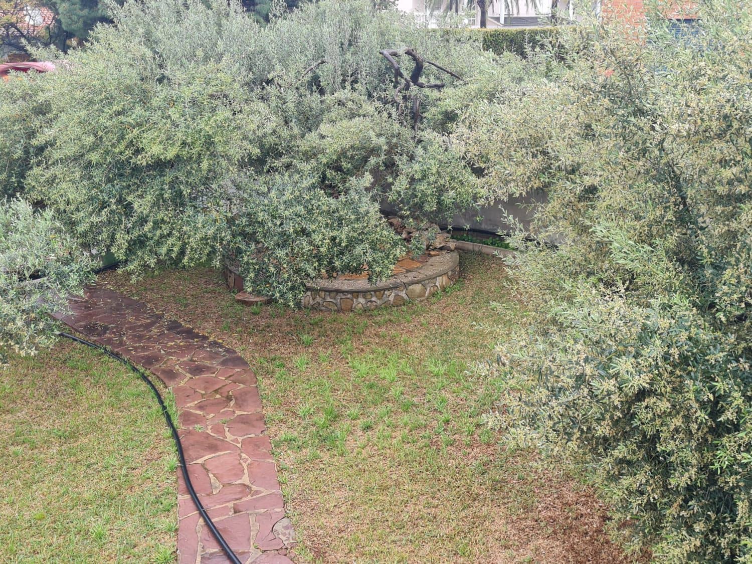 4 camera da letto Villetta Bifamiliare in vendita in Benicassim con garage - 549.000 € (Rif: 8949419)