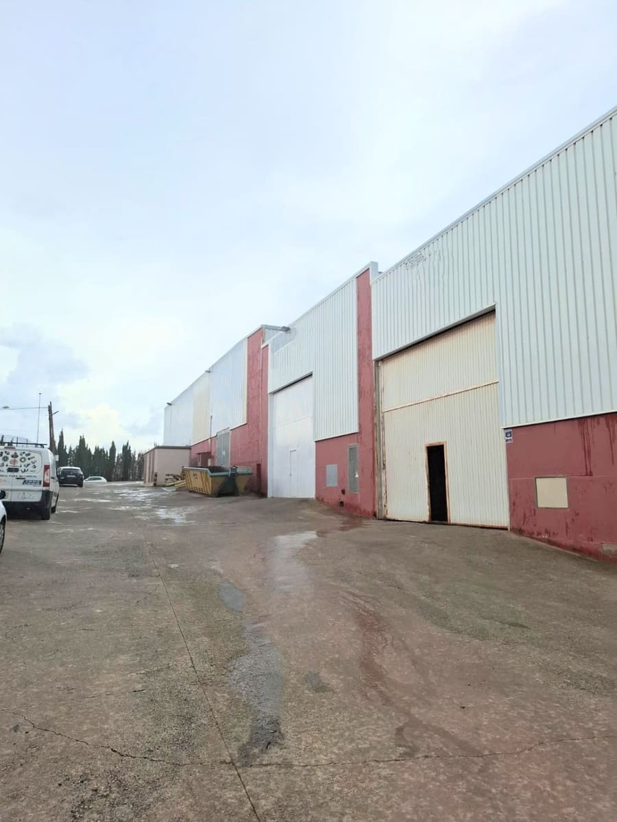 Virksomhed til salg i L'Alcora - € 83.500 (Ref: 9041649)