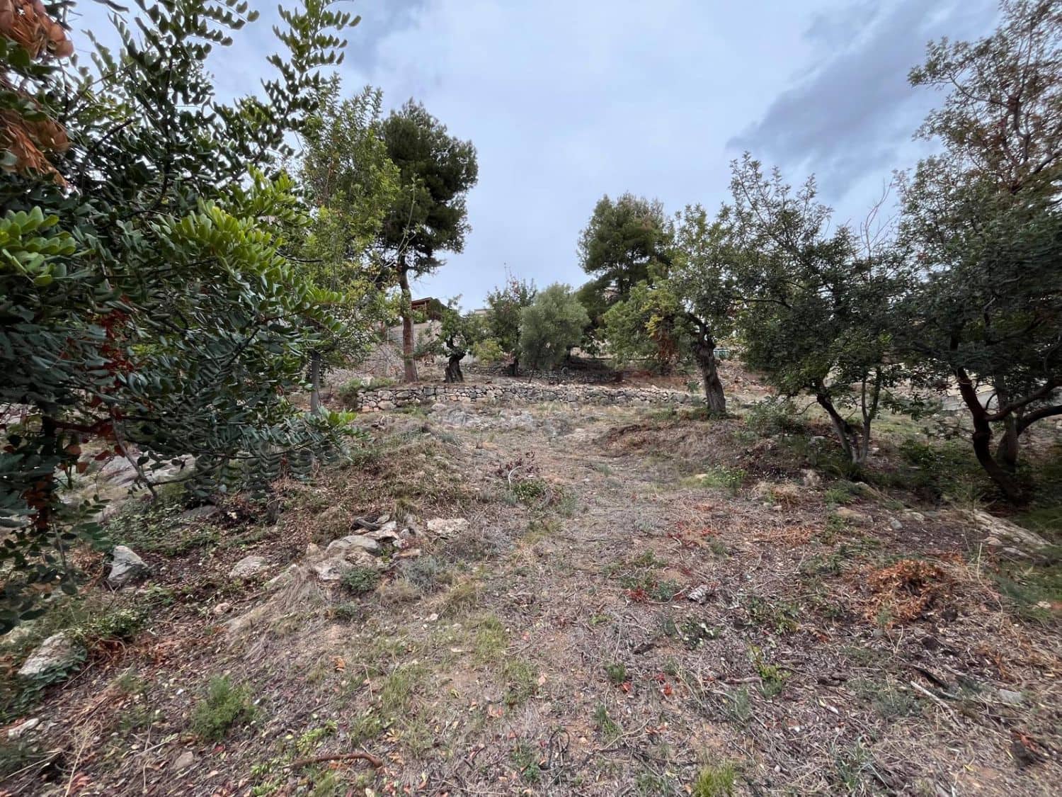 Grond te koop in Borriol - € 210.000 (Ref: 9065579)