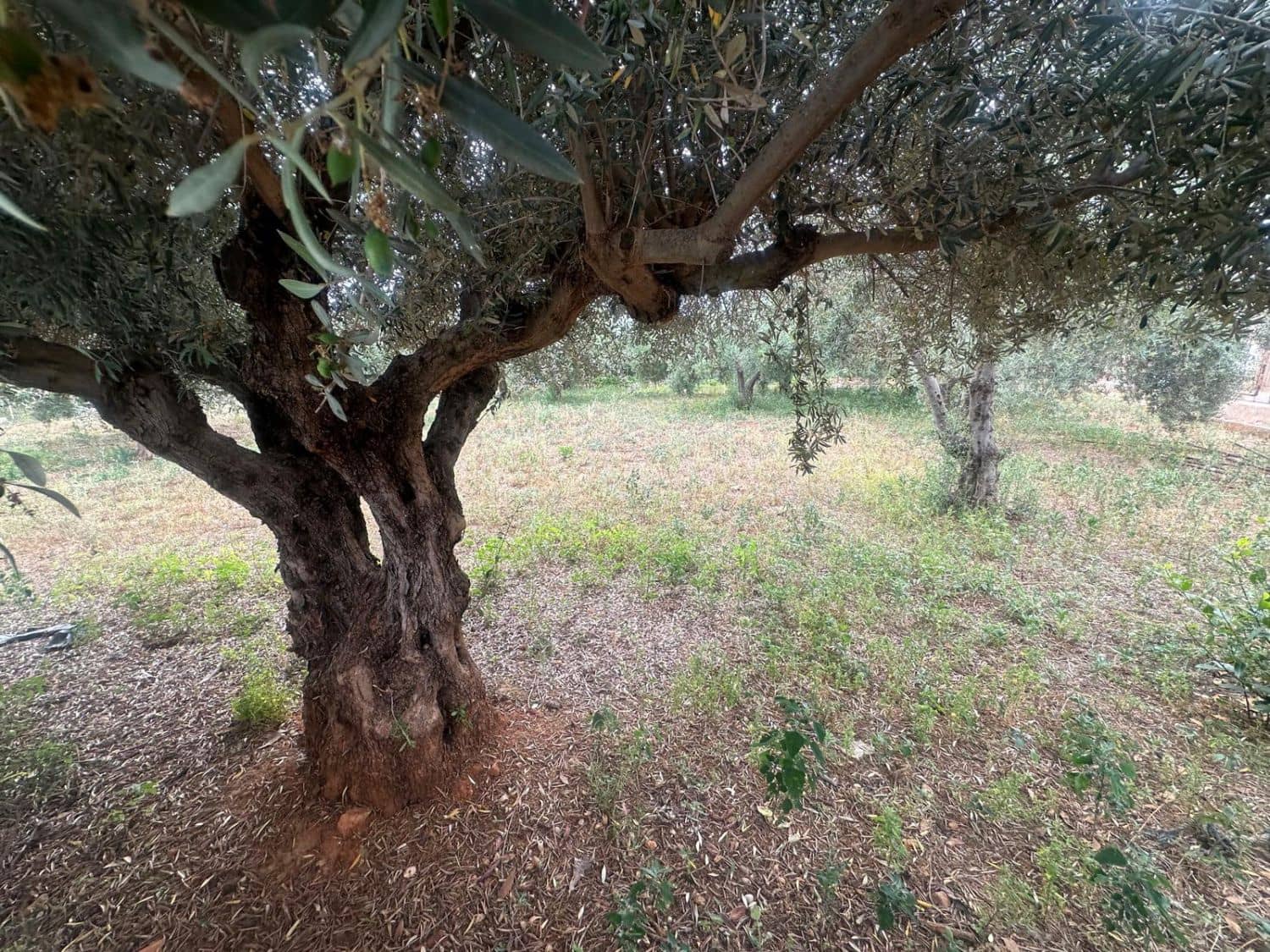 5 soveværelse Semi-Rækkehus til salg i Castello de la Plana med garage - € 299.900 (Ref: 9075343)