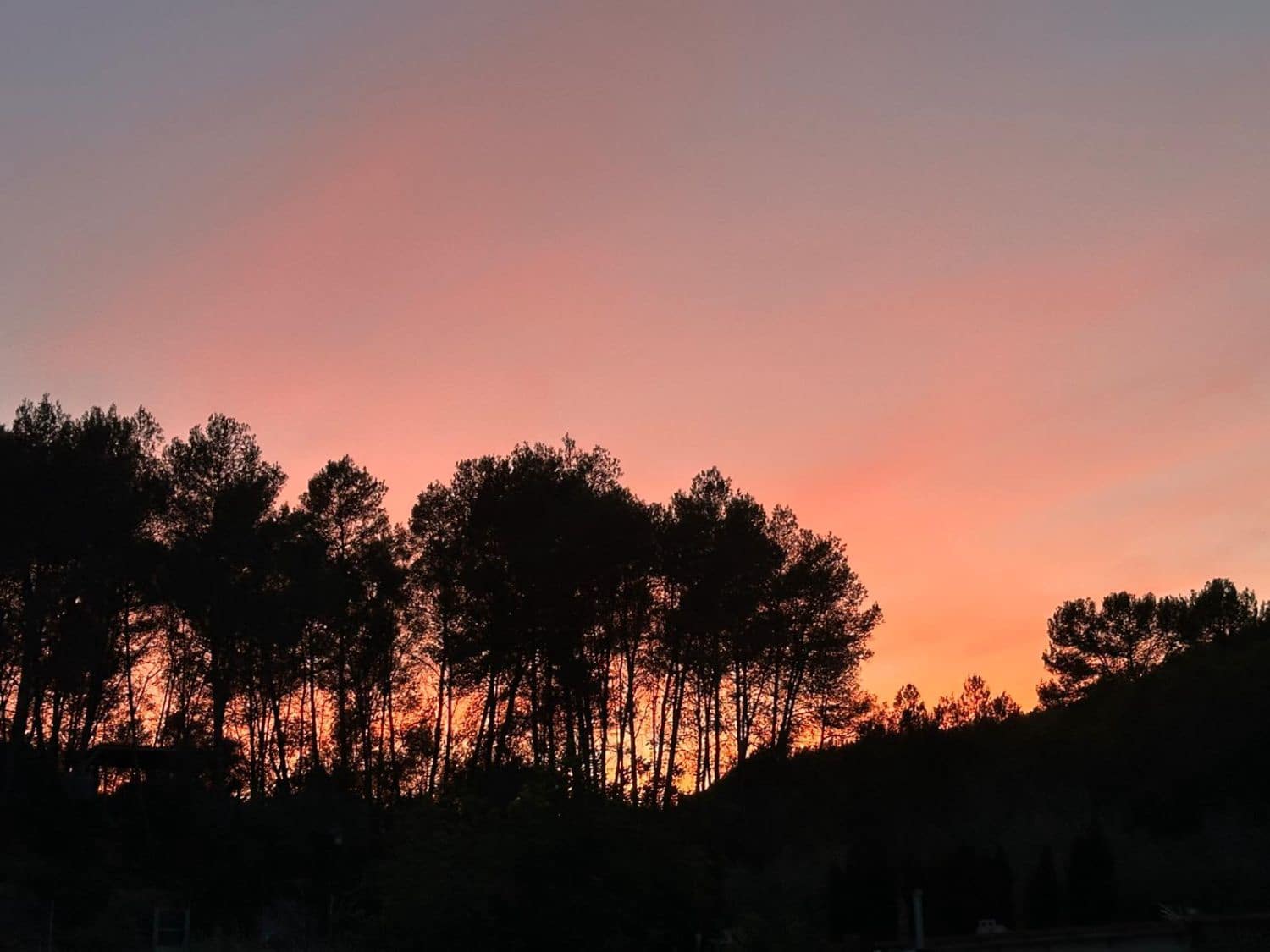 4 soverom Finca/Herregård til salgs i Artana - € 130 000 (Ref: 9209540)