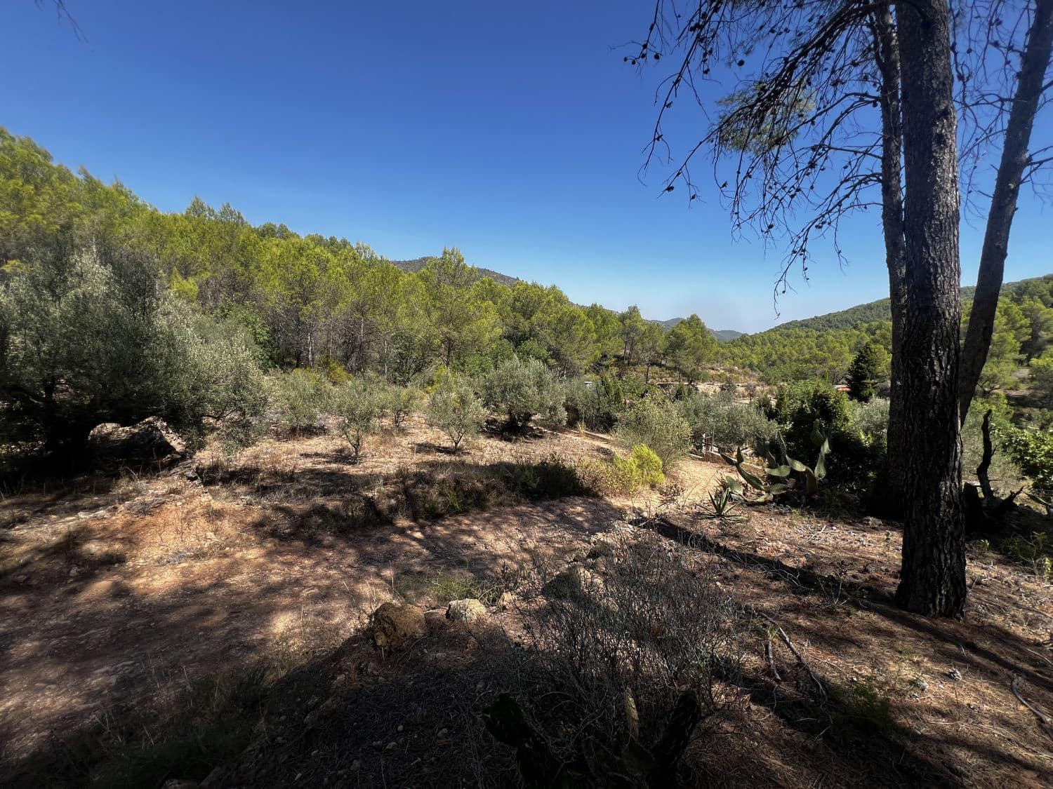 4 soverom Finca/Herregård til salgs i Artana - € 130 000 (Ref: 9209540)