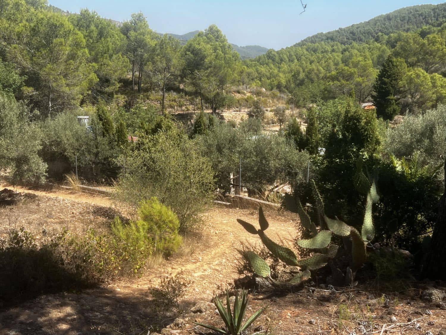 4 soverom Finca/Herregård til salgs i Artana - € 130 000 (Ref: 9209540)