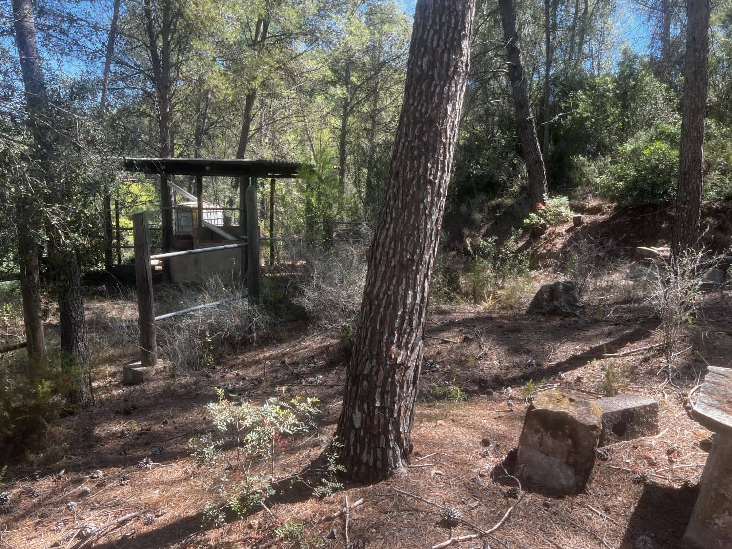 4 soverom Finca/Herregård til salgs i Artana - € 130 000 (Ref: 9209540)