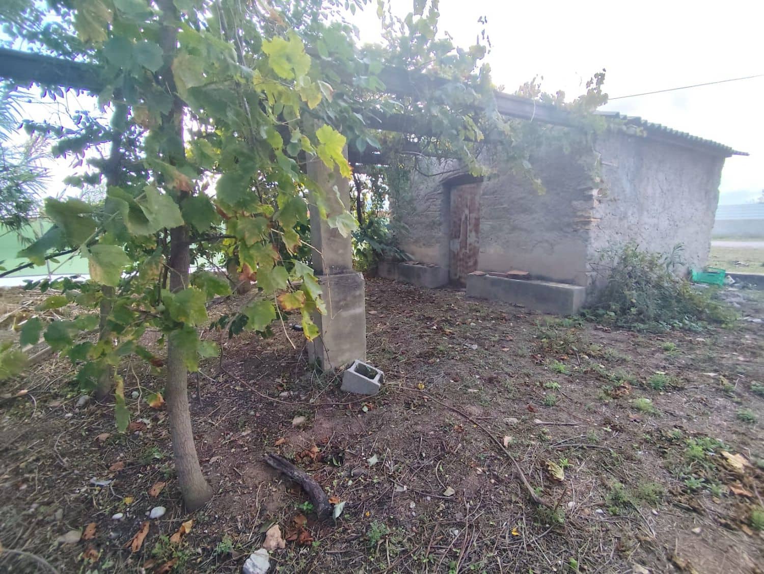 6 sypialnia Willa na sprzedaż w Burriana / Borriana - 185 000 € (Ref: 9247446)