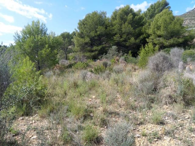 Terre non Aménagée à vendre à Oropesa  - 54 000 € (Ref: 9255436)