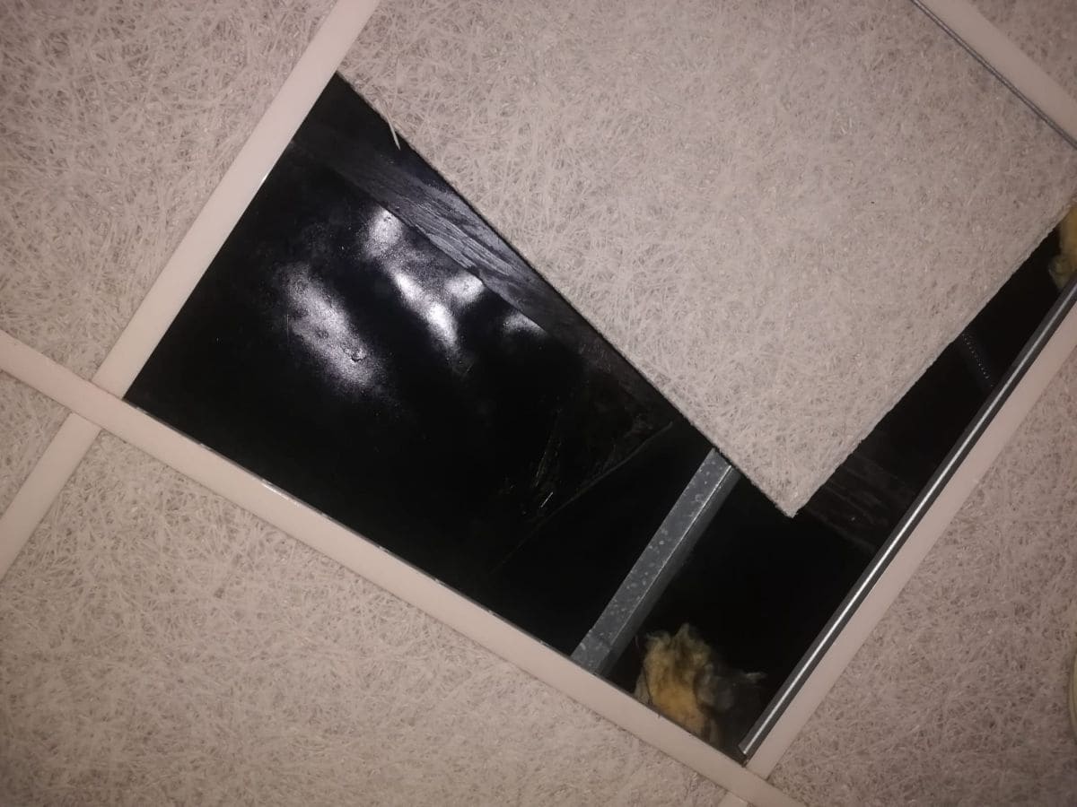 Kommersiell till salu i Castello de la Plana - 370 000 € (Ref: 9264730)