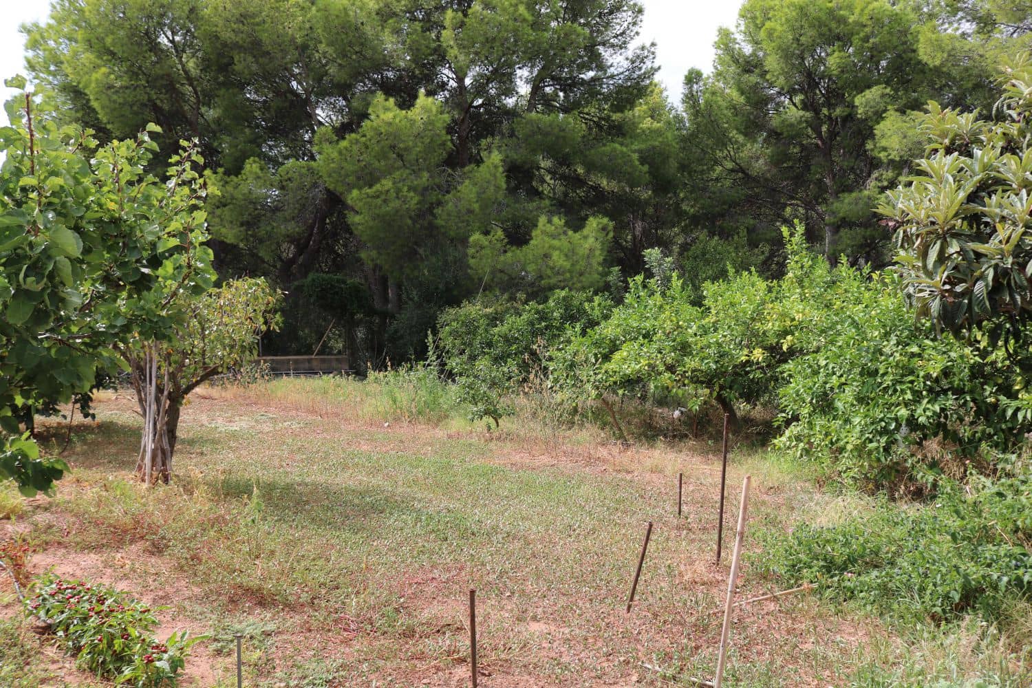 5 soverom Kjedet enebolig til salgs i Benicassim - € 800 000 (Ref: 9264731)