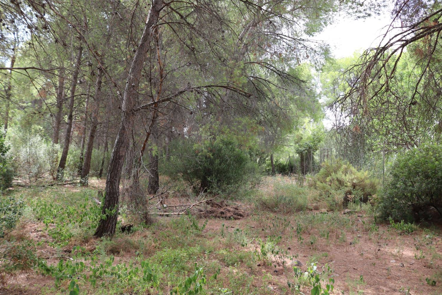 5 soverom Kjedet enebolig til salgs i Benicassim - € 800 000 (Ref: 9264731)