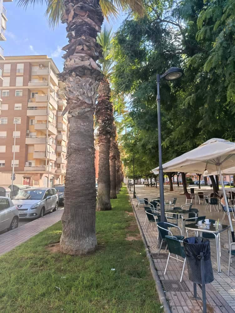 3 soverom Leilighet til salgs i Castello de la Plana med garasje - € 255 000 (Ref: 9282483)