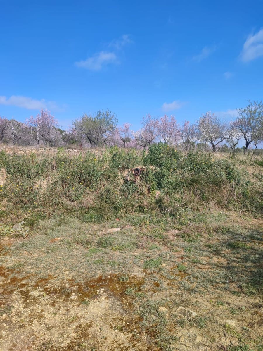 Finca/Landehus til salg i Les Coves de Vinroma - € 60.000 (Ref: 9318070)