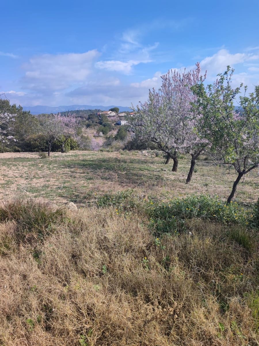 Finca/Landehus til salg i Les Coves de Vinroma - € 60.000 (Ref: 9318070)