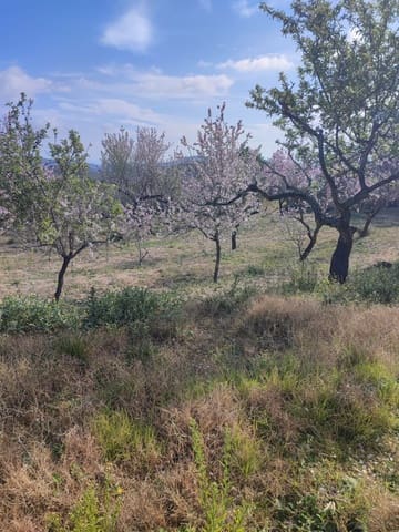 Finca/Country House for sale in Les Coves de Vinromà - € 60,000 (Ref: 9318070)