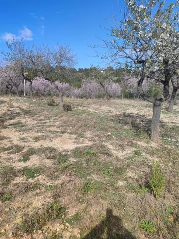 Finca/Country House for sale in Les Coves de Vinromà - € 60,000 (Ref: 9318070)