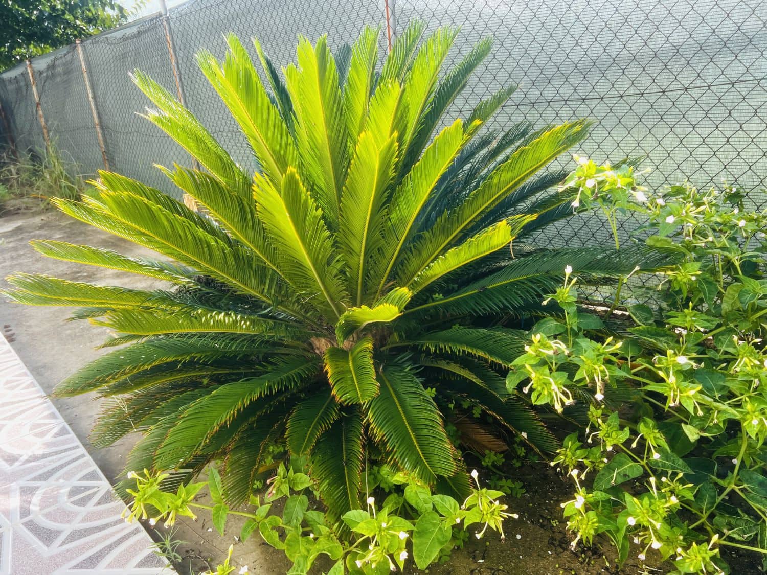 4 sovrum Villa till salu i Almassora / Almazora - 158 000 € (Ref: 9322098)