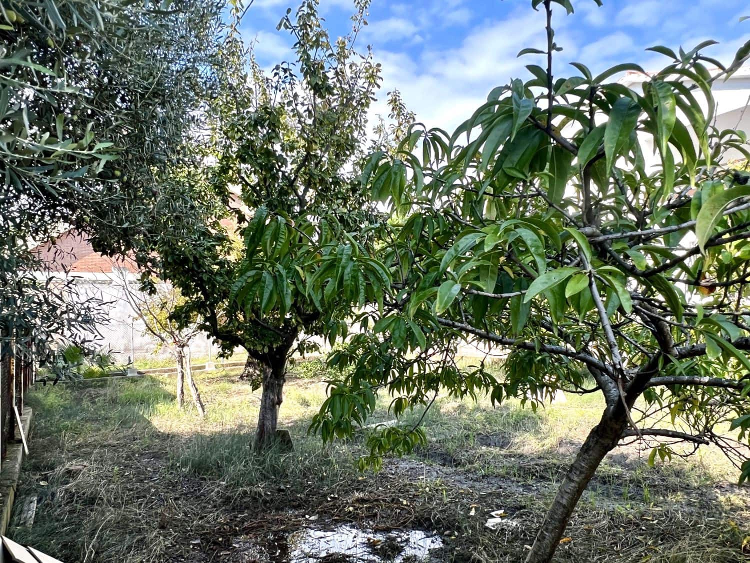 4 sovrum Villa till salu i Almassora / Almazora - 158 000 € (Ref: 9322098)