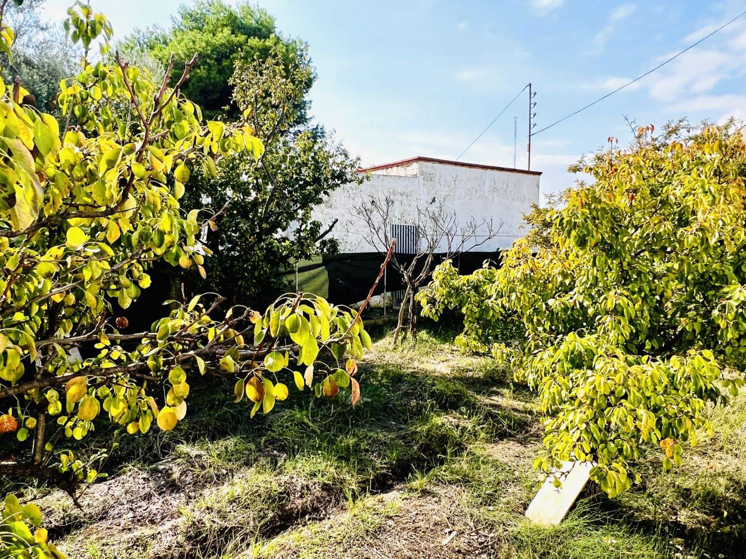 4 sovrum Villa till salu i Almassora / Almazora - 158 000 € (Ref: 9322098)