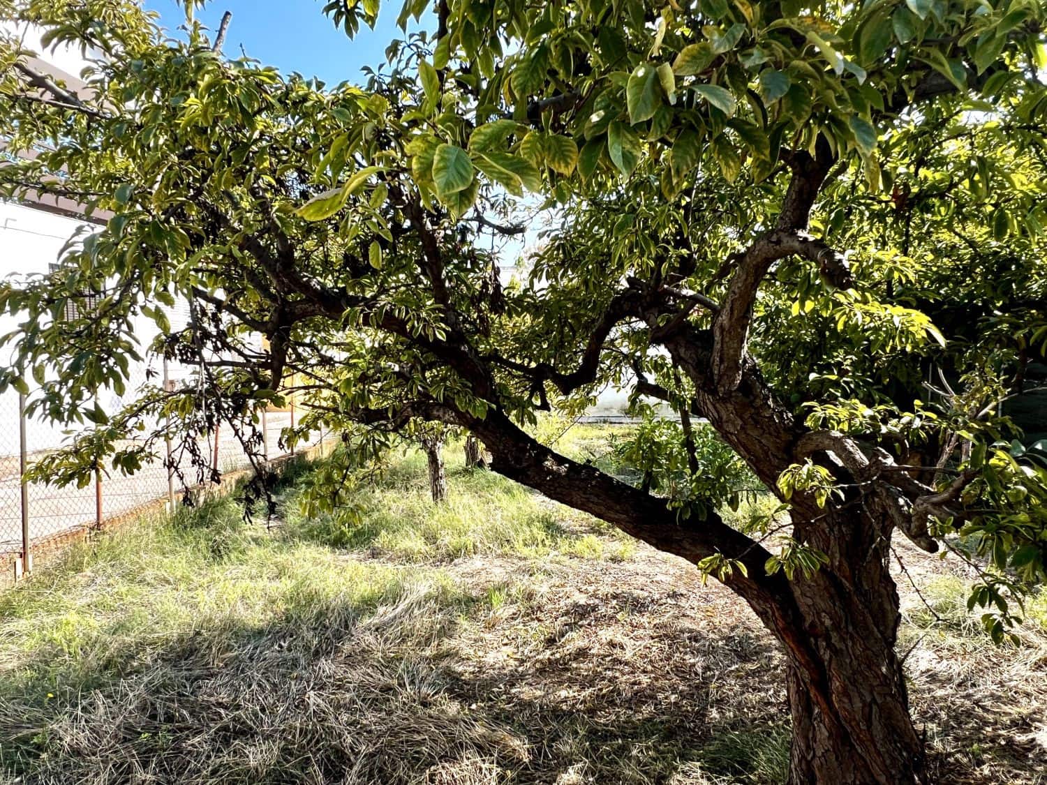 4 sovrum Villa till salu i Almassora / Almazora - 158 000 € (Ref: 9322098)