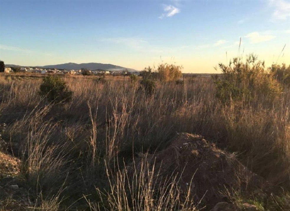 Ubebygd land til salgs i Torreblanca - € 19 000 (Ref: 9330937)