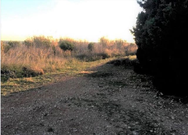 Mark till salu i Torreblanca - 19 000 € (Ref: 9330937)