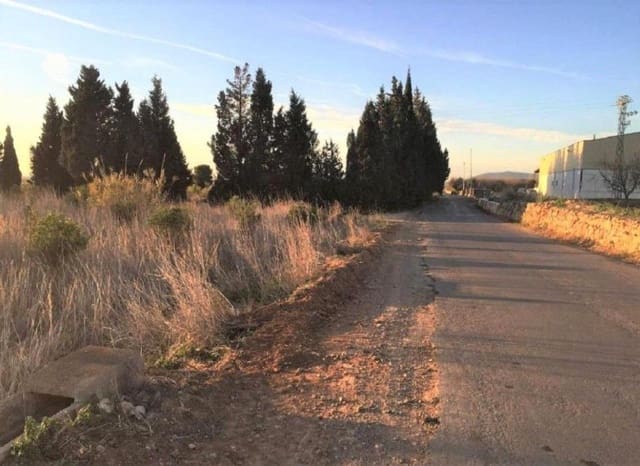 Mark till salu i Torreblanca - 19 000 € (Ref: 9330937)