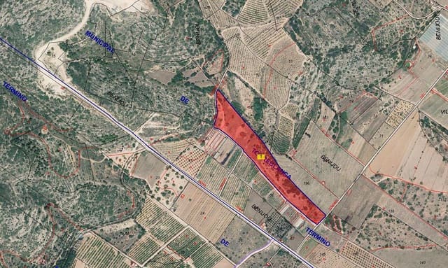 Finca/Country House for sale in Torreblanca - € 27,000 (Ref: 9359819)