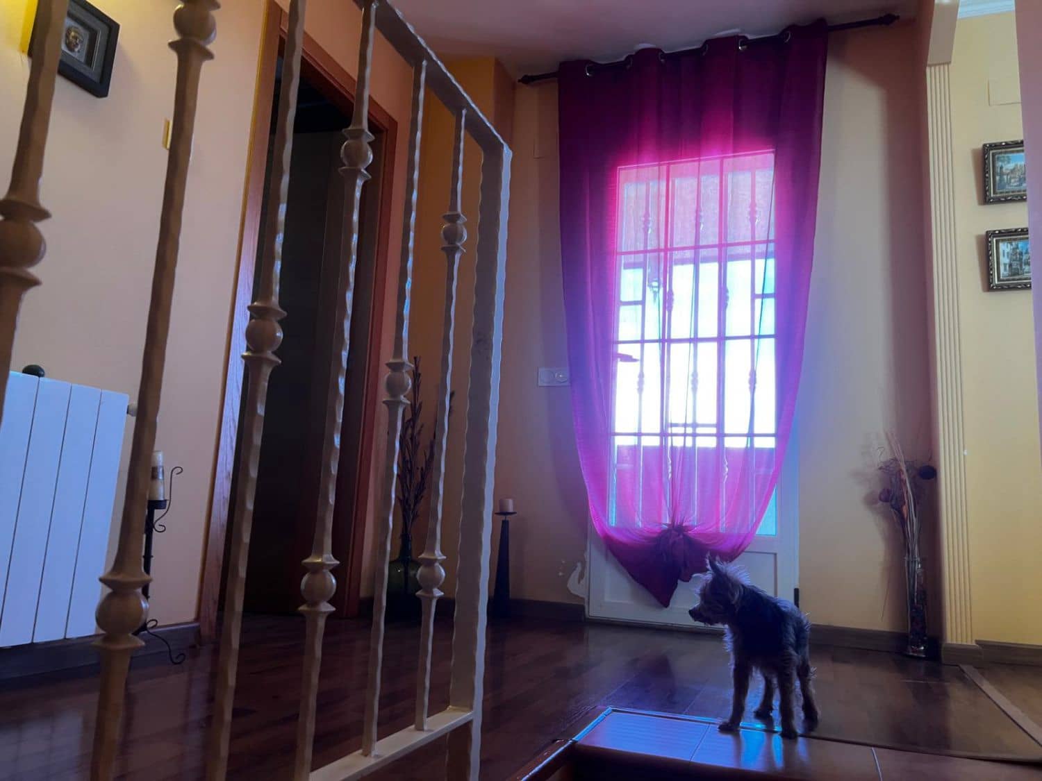 6 makuuhuone Huvila myytävänä paikassa Castello de la Plana - 450 000 € (Ref: 9388110)