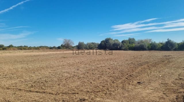 5 bedroom Semi-detached Villa for sale in Burriana / Borriana - € 115,000 (Ref: 9513180)