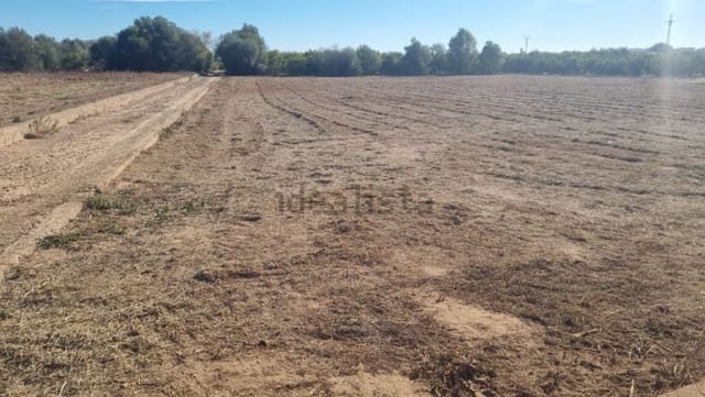 5 bedroom Semi-detached Villa for sale in Burriana / Borriana - € 115,000 (Ref: 9513180)