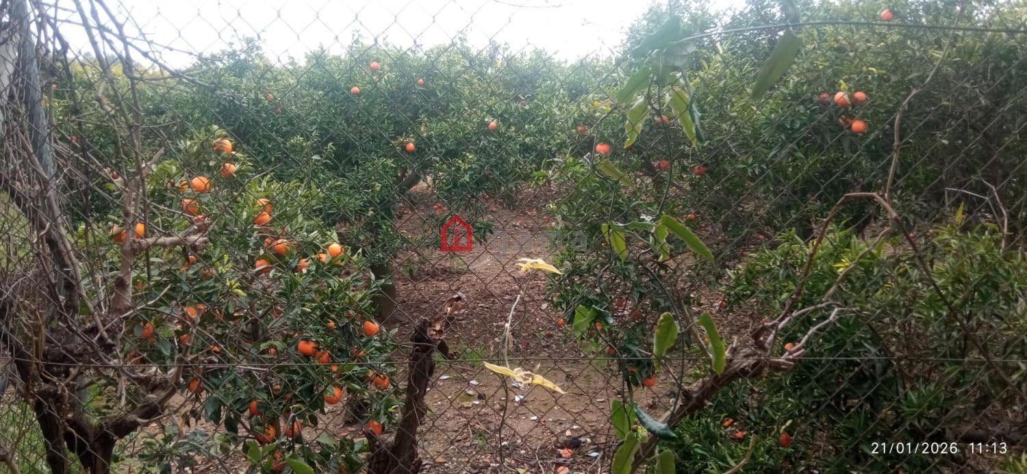 1 slaapkamer Finca/Landhuis te koop in Burriana / Borriana - € 45.000 (Ref: 9568297)