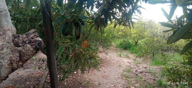 1 soveværelse Finca/Landehus til salg i Burriana / Borriana - € 35.000 (Ref: 9568297)