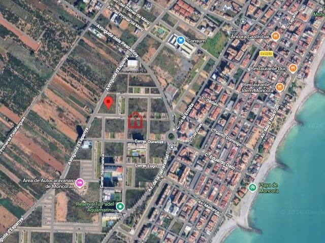 Undeveloped Land for sale in Moncofa - € 1,215,000 (Ref: 9625442)