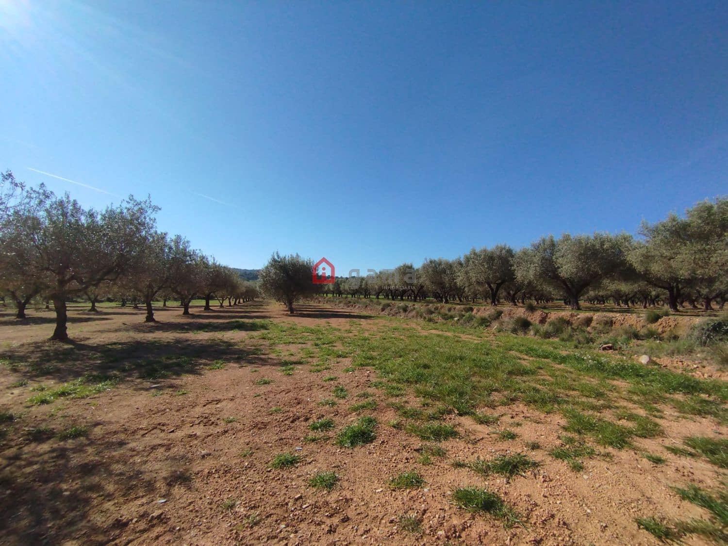 Terreno Non Edificato in vendita in Cervera del Maestre / Cervera del Maestrat - 75.000 € (Rif: 9788236)