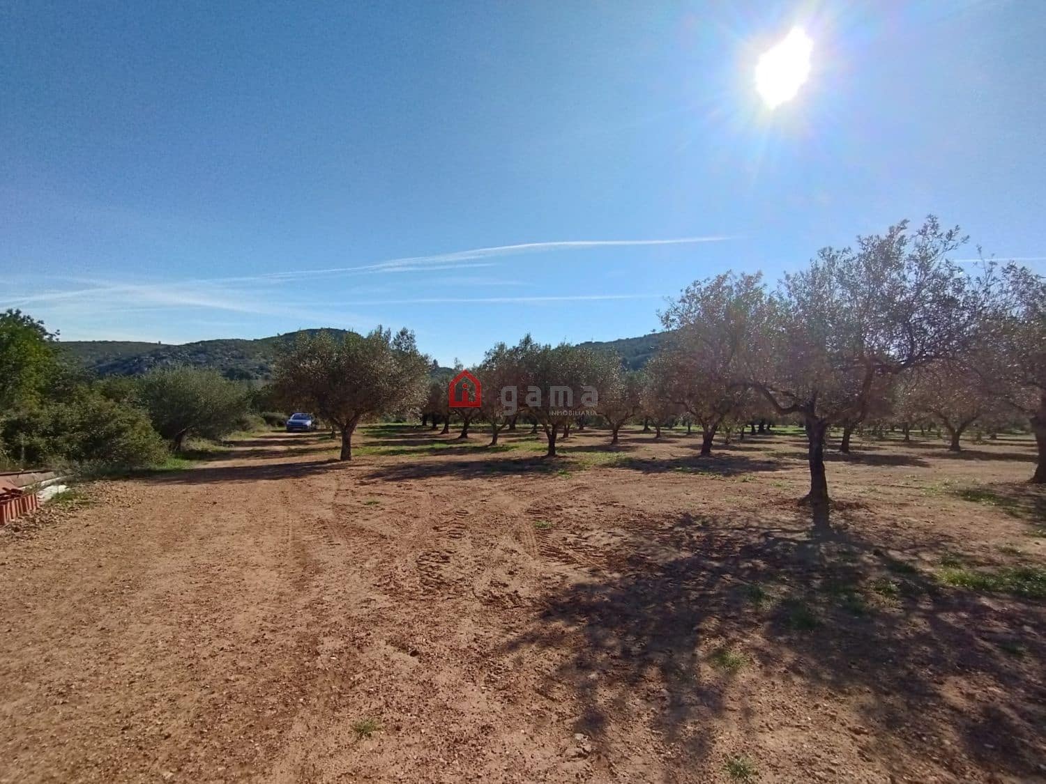 Terreno Non Edificato in vendita in Cervera del Maestre / Cervera del Maestrat - 75.000 € (Rif: 9788236)