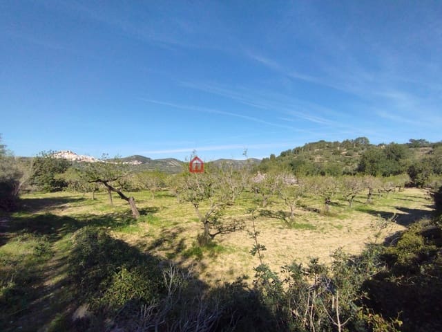 Undeveloped Land for sale in Cervera del Maestre / Cervera del Maestrat - € 75,000 (Ref: 9788236)