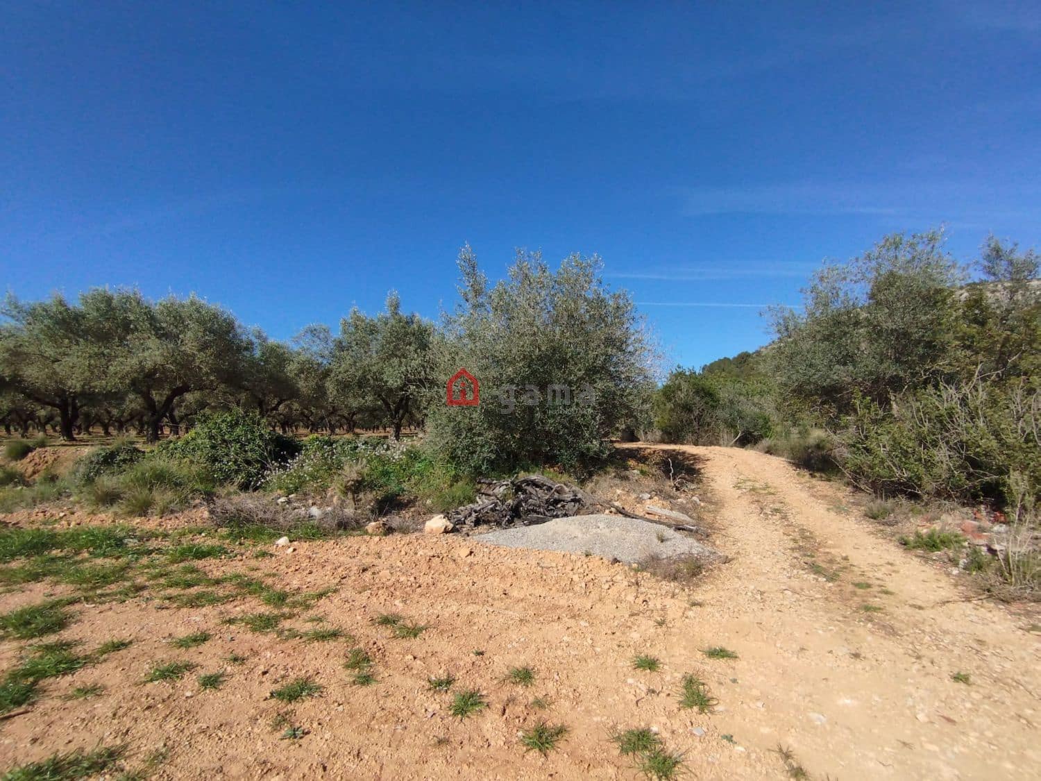 Terreno Non Edificato in vendita in Cervera del Maestre / Cervera del Maestrat - 75.000 € (Rif: 9788236)