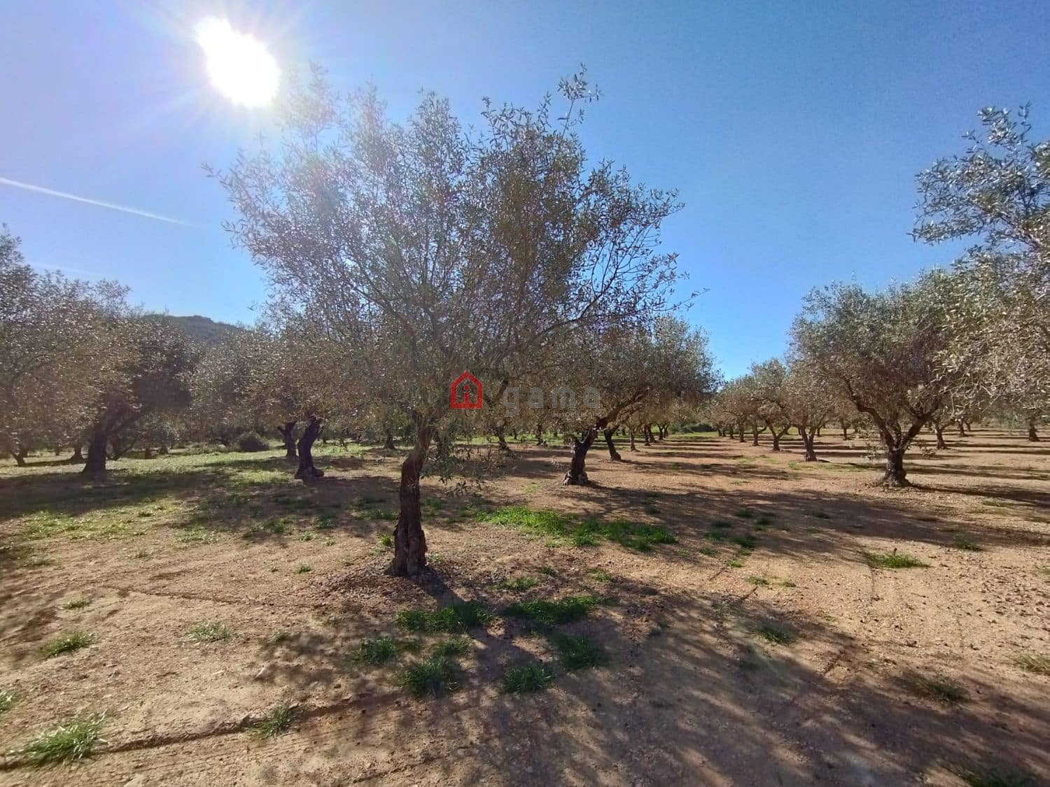 Terreno Non Edificato in vendita in Cervera del Maestre / Cervera del Maestrat - 75.000 € (Rif: 9788236)