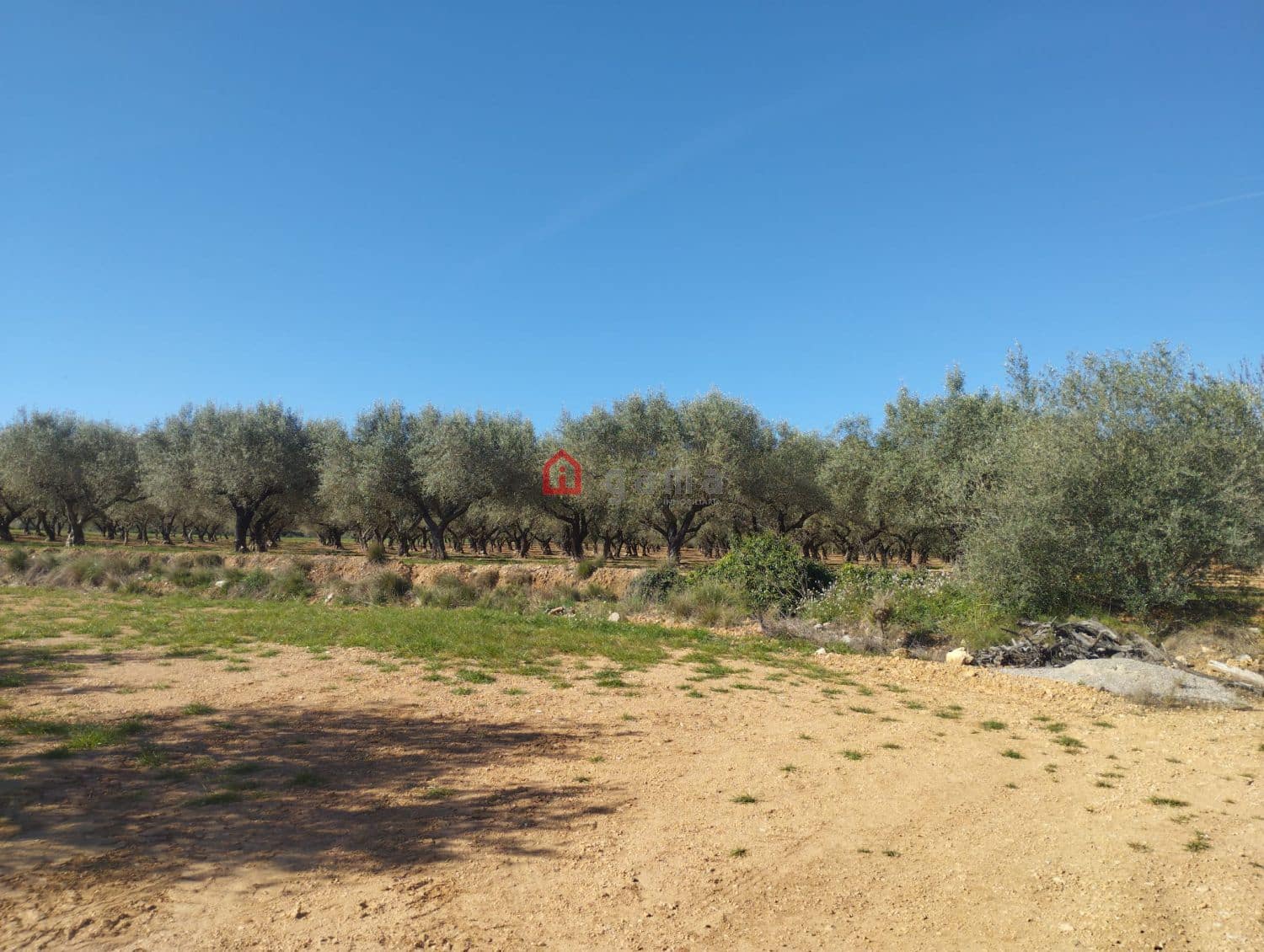 Terreno Non Edificato in vendita in Cervera del Maestre / Cervera del Maestrat - 75.000 € (Rif: 9788236)
