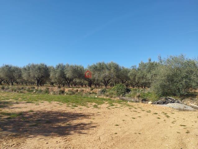 Undeveloped Land for sale in Cervera del Maestre / Cervera del Maestrat - € 75,000 (Ref: 9788236)