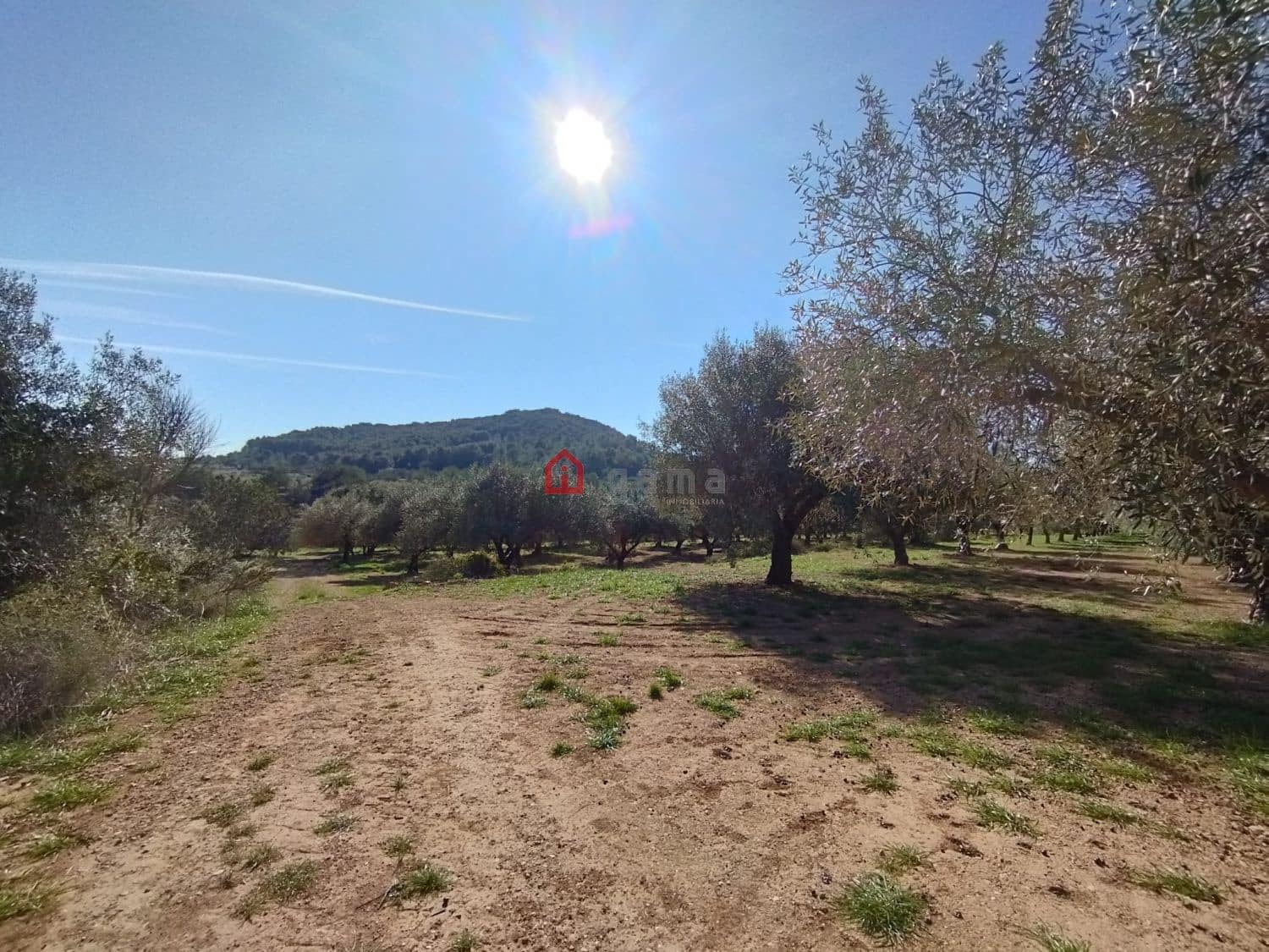 Terreno Non Edificato in vendita in Cervera del Maestre / Cervera del Maestrat - 75.000 € (Rif: 9788236)