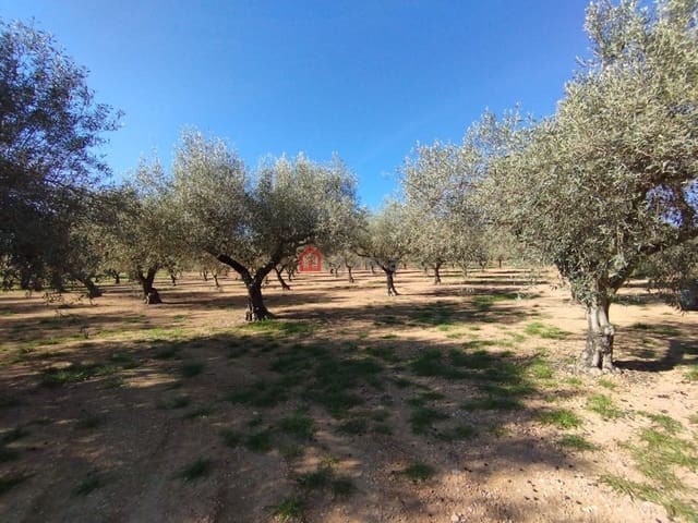 Undeveloped Land for sale in Cervera del Maestre / Cervera del Maestrat - € 75,000 (Ref: 9788236)
