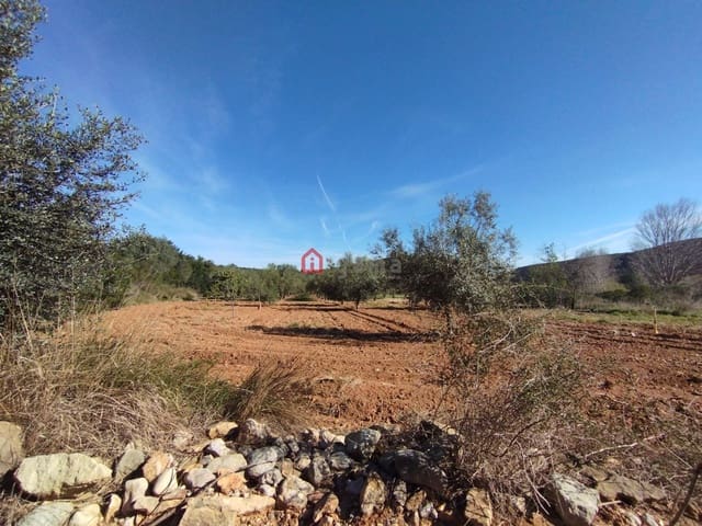 Undeveloped Land for sale in Cervera del Maestre / Cervera del Maestrat - € 75,000 (Ref: 9788236)