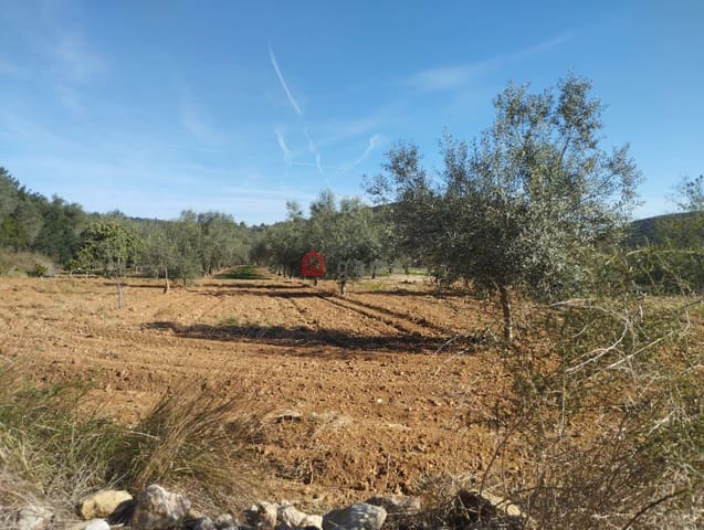 Undeveloped Land for sale in Cervera del Maestre / Cervera del Maestrat - € 75,000 (Ref: 9788236)