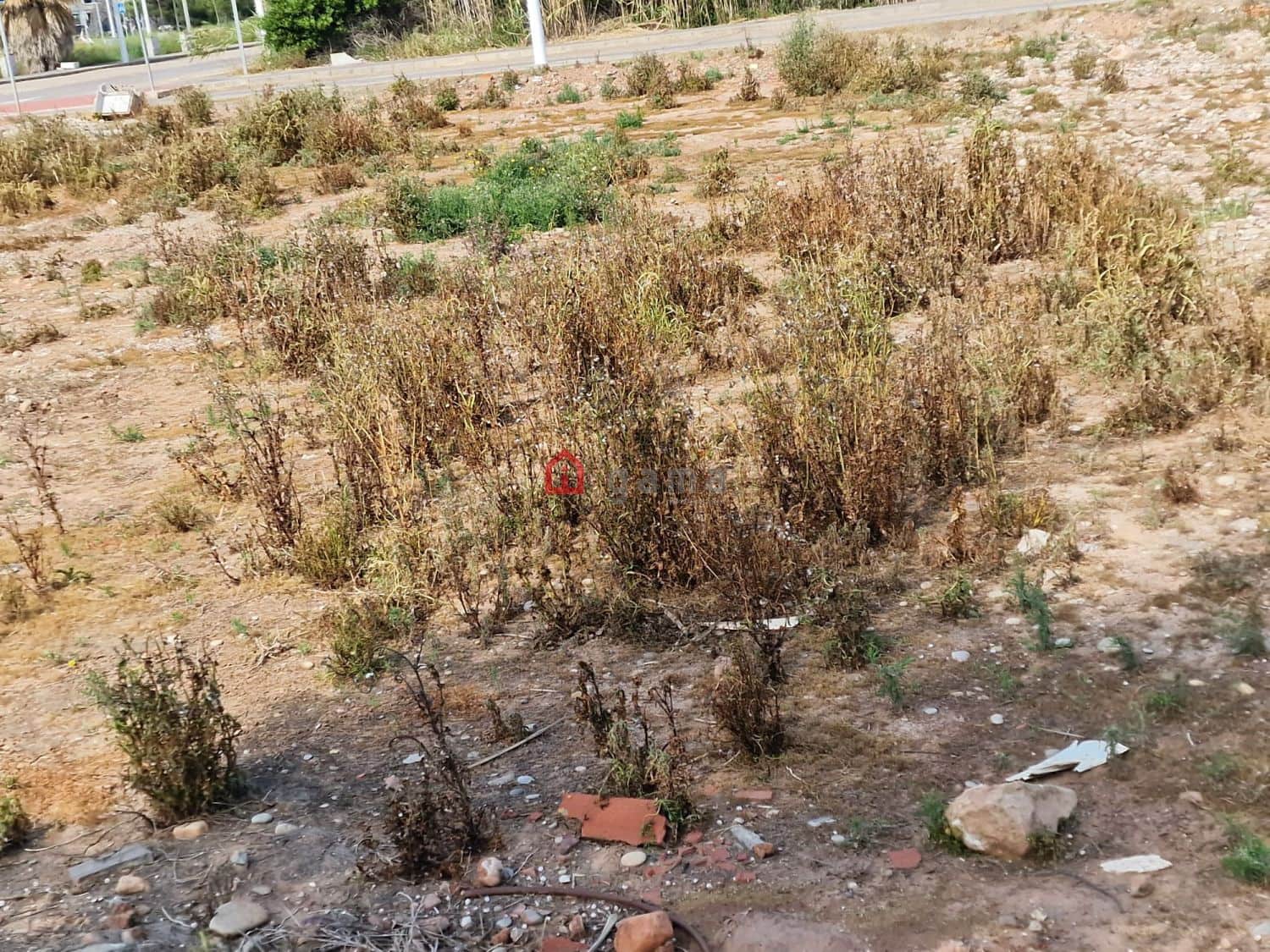 Undeveloped Land for sale in Moncofa - € 141,000 (Ref: 9811382)