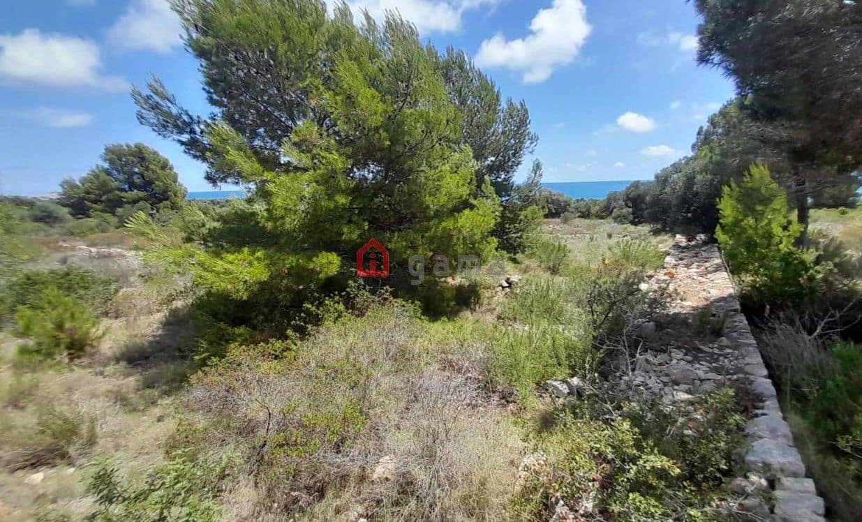 Grunde uden byggetilladelser til salg i Peniscola - € 479.000 (Ref: 9849191)